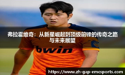 emc易倍体育平台