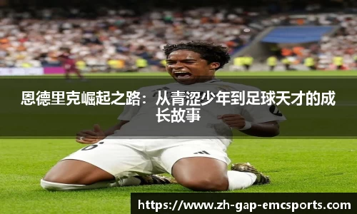 emc易倍体育平台