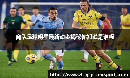 emc易倍体育APP