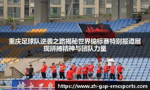 emc易倍体育平台