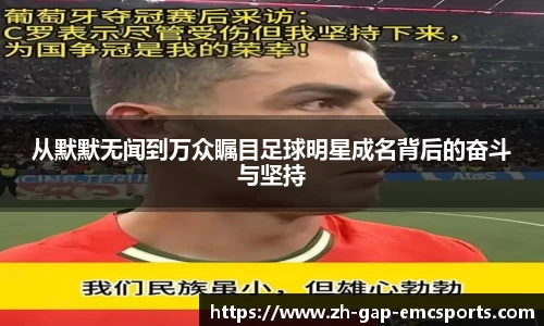 emc易倍体育APP