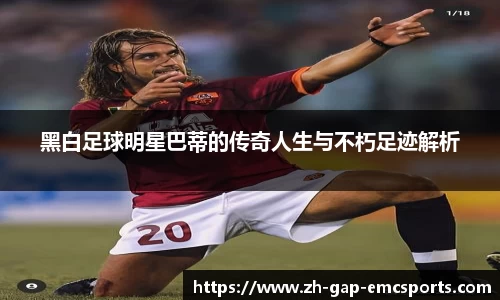 emc易倍体育平台