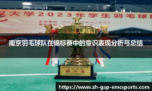 南京羽毛球队在锦标赛中的意识表现分析与总结